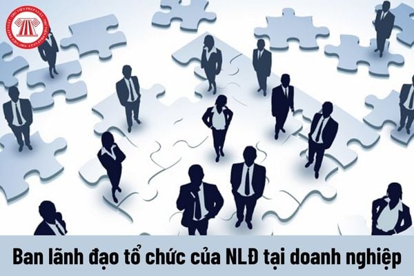 Có được làm thành viên ban lãnh đạo tổ chức của người lao động tại doanh nghiệp khi đang trong thời gian bị truy cứu trách nhiệm hình sự?