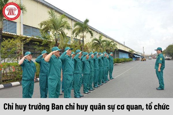 Mức phụ cấp chức vụ chỉ huy của Chỉ huy trưởng Ban chỉ huy quân sự cơ quan, tổ chức là bao nhiêu?