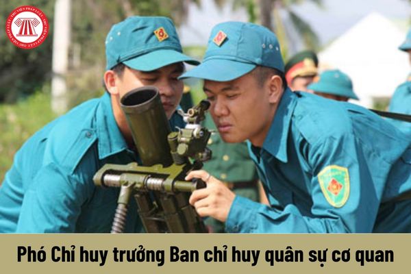 Mức phụ cấp chức vụ chỉ huy của Phó Chỉ huy trưởng Ban chỉ huy quân sự cơ quan, tổ chức là bao nhiêu?