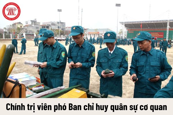 Chính trị viên phó Ban chỉ huy quân sự cơ quan, tổ chức được nhận mức phụ cấp chức vụ chỉ huy là bao nhiêu?