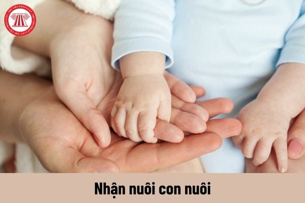 Người lao động nhận nuôi con nuôi có bị cắt giảm tiền lương so với trước khi nghỉ thai sản không?