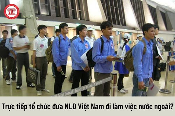 Không trực tiếp tổ chức đưa người lao động Việt Nam đi làm việc ở nước ngoài thì tổ chức đầu tư ra nước ngoài bị xử phạt thế nào?