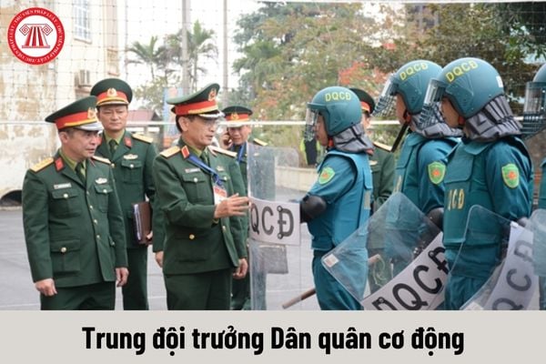 Trung đội trưởng Dân quân cơ động được nhận phụ cấp chức vụ chỉ huy là bao nhiêu?