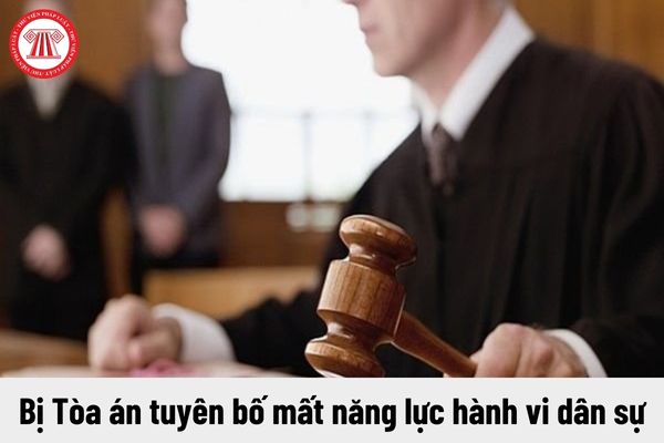 Người lao động bị Tòa án tuyên bố mất năng lực hành vi dân sự thì có được nhận trợ cấp thôi việc không?