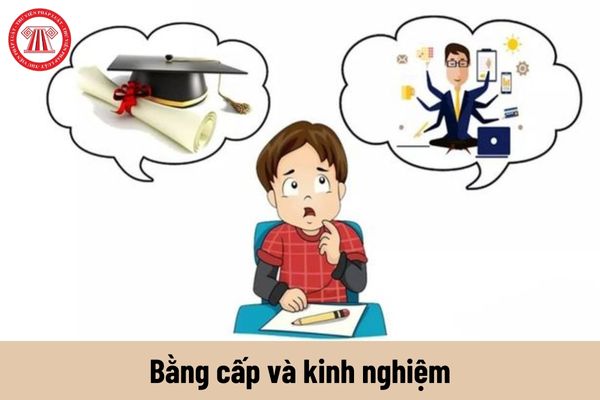 Bằng cấp và kinh nghiệm cái nào quan trọng hơn?