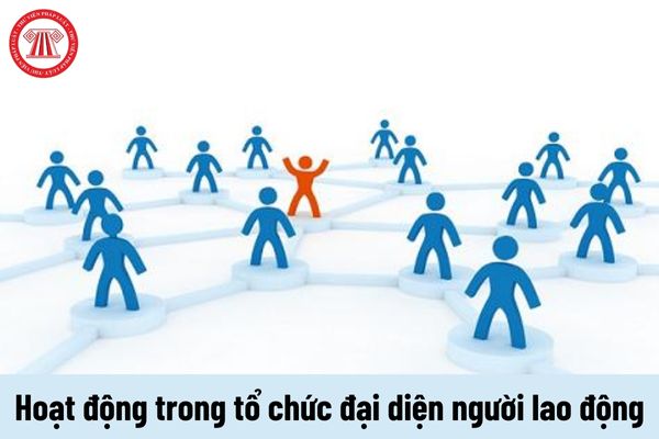 Người lao động thuê lại có được hoạt động trong tổ chức đại diện người lao động không?