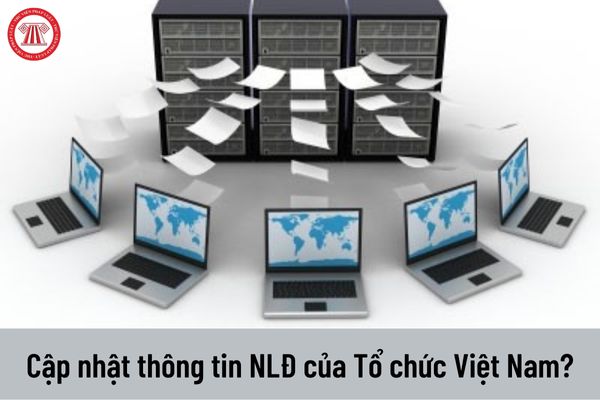 Không cập nhật thông tin về người lao động trên Hệ thống cơ sở dữ liệu thì Tổ chức Việt Nam đầu tư ra nước ngoài bị xử phạt ra sao?