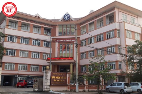 Cổng thông tin điện tử của Bảo hiểm xã hội tỉnh Tuyên Quang có địa chỉ là gì?