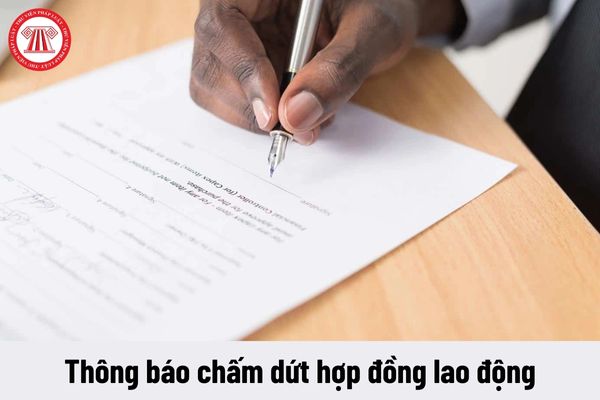 Bán doanh nghiệp thì có cần phải thông báo chấm dứt hợp đồng lao động cho người lao động bị thôi việc không?