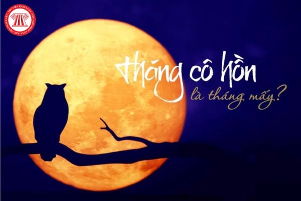 3. Các Hoạt Động và Kiêng Kỵ Trong Tháng Cô Hồn