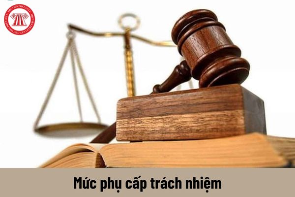 Tổng Thanh tra thuộc các cơ quan Thanh tra nhà nước được nhận mức phụ cấp trách nhiệm là bao nhiêu?