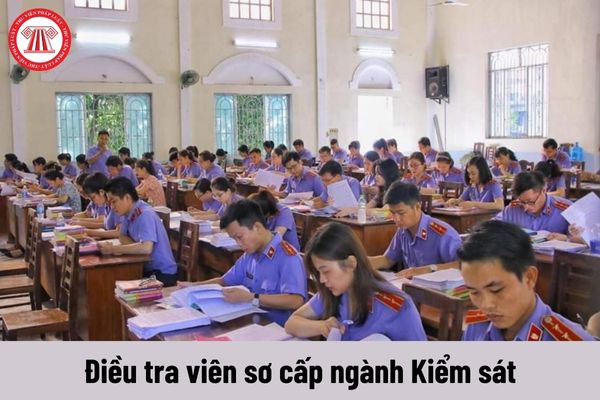 Điều tra viên sơ cấp ngành Kiểm sát được nhận mức phụ cấp trách nhiệm hiện nay là bao nhiêu?