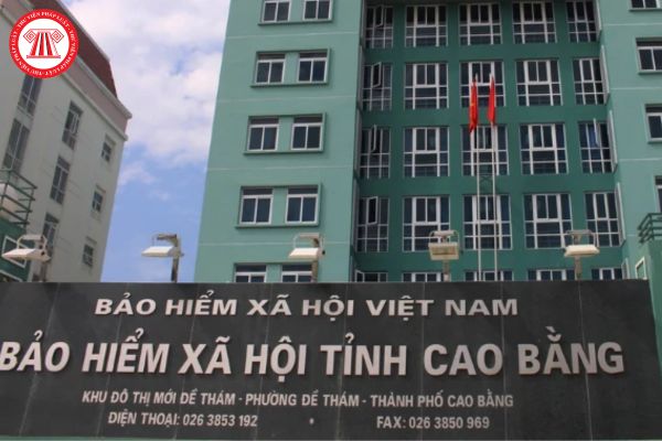 Cổng thông tin điện tử của Bảo hiểm xã hội tỉnh Cao Bằng có địa chỉ là gì?