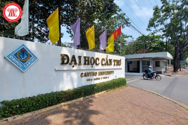 Điểm chuẩn trường Đại học Cần Thơ (CTU) năm 2023 như thế nào? 