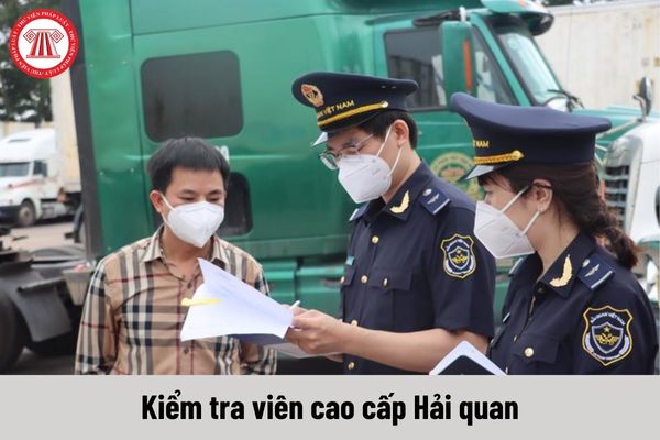 Mức phụ cấp ưu đãi của Kiểm tra viên cao cấp Hải quan hiện nay là bao nhiêu?