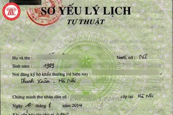 mẫu sơ yếu lý lịch tự thuật