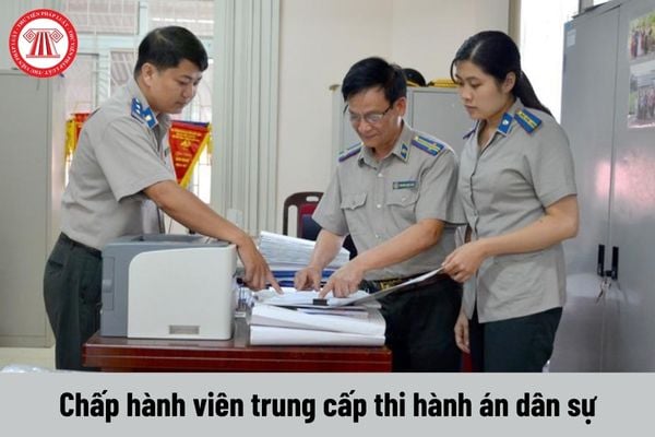 Chấp hành viên trung cấp thi hành án dân sự được nhận mức phụ cấp trách nhiệm theo nghề là bao nhiêu?