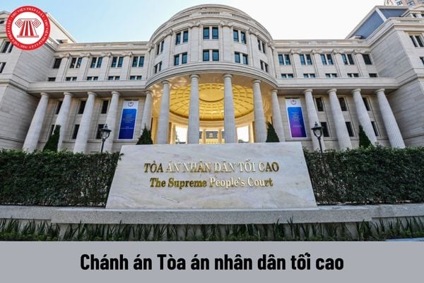 Chánh án Tòa án nhân dân tối cao được nhận mức phụ cấp trách nhiệm theo nghề là bao nhiêu?