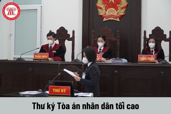 Thư ký Tòa án nhân dân tối cao có được nhận phụ cấp trách nhiệm theo nghề không?