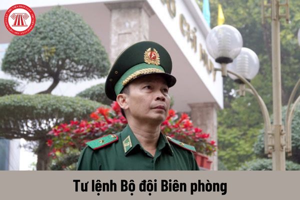 Tư lệnh Bộ đội Biên phòng được nhận mức phụ cấp chức vụ lãnh đạo Quân đội nhân dân Việt Nam là bao nhiêu?
