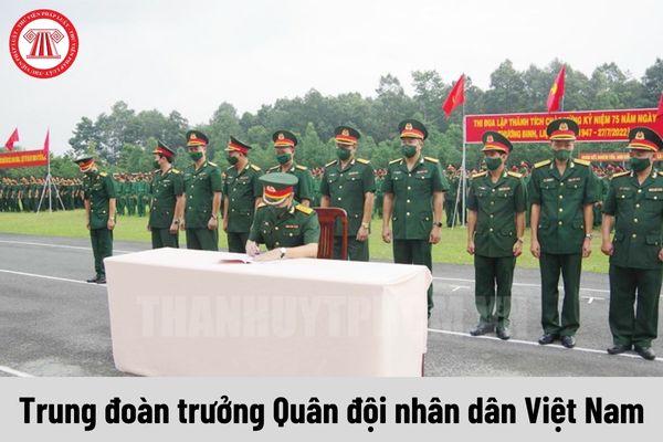 Mức phụ cấp chức vụ lãnh đạo Quân đội nhân dân Việt Nam của Trung đoàn trưởng là bao nhiêu?