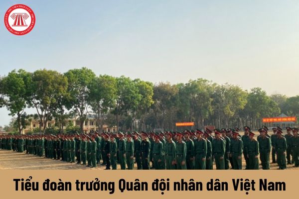 Tiểu đoàn trưởng được nhận mức phụ cấp chức vụ lãnh đạo Quân đội nhân dân Việt Nam là bao nhiêu?