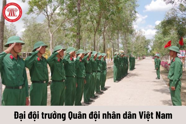 Đại đội trưởng được nhận mức phụ cấp chức vụ lãnh đạo Quân đội nhân dân Việt Nam là bao nhiêu?