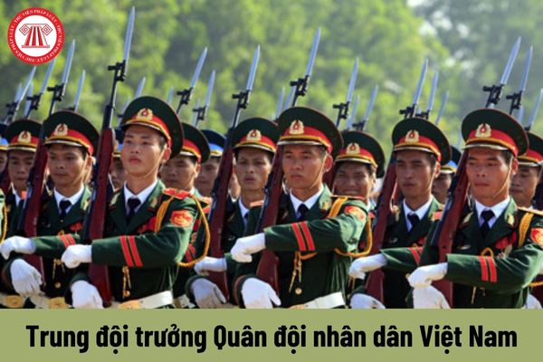 Trung đội trưởng được nhận mức phụ cấp chức vụ lãnh đạo Quân đội nhân dân Việt Nam là bao nhiêu?