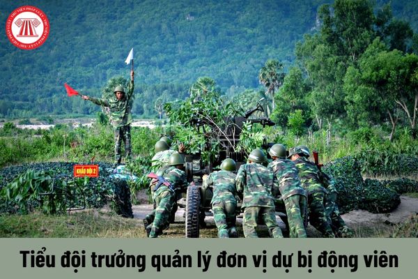 Tiểu đội trưởng quản lý đơn vị dự bị động viên thì được nhận mức phụ cấp trách nhiệm quản lý là bao nhiêu?