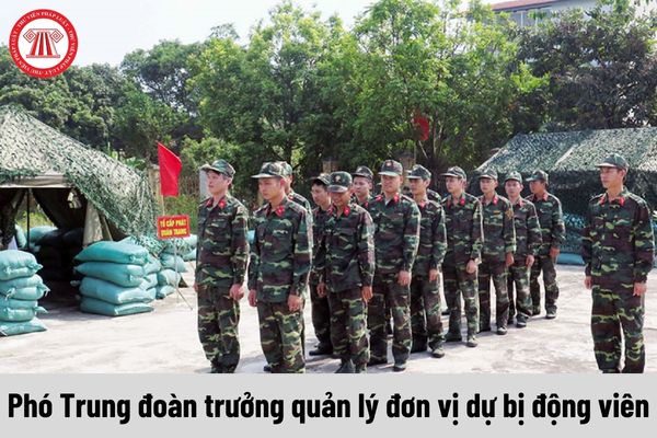 Phó Trung đoàn trưởng đơn vị dự bị động viên được nhận mức phụ cấp trách nhiệm quản lý là bao nhiêu?