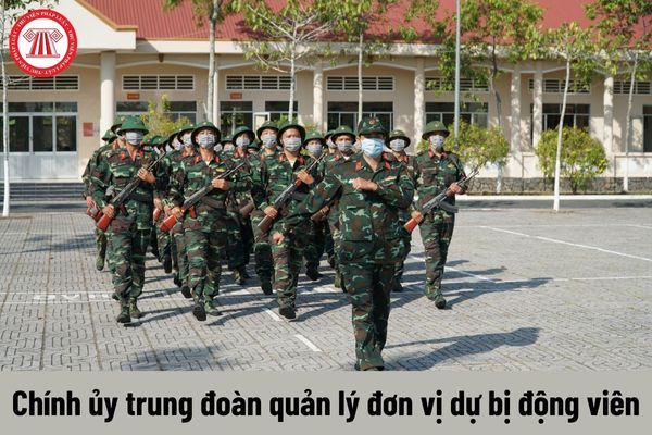 Chính ủy trung đoàn đơn vị dự bị động viên được nhận mức phụ cấp trách nhiệm quản lý là bao nhiêu?