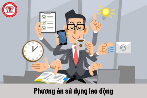 Đối tượng nào có trách nhiệm thực hiện phương án sử dụng lao động đã được thông qua khi hợp nhất doanh nghiệp?