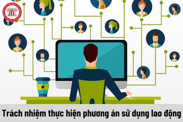 Người nào có trách nhiệm thực hiện phương án sử dụng lao động khi chuyển nhượng quyền sở hữu doanh nghiệp?