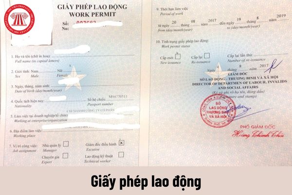 Làm việc không đúng với nội dung trong giấy phép lao động đã được cấp thì hợp đồng lao động có bị chấm dứt không?