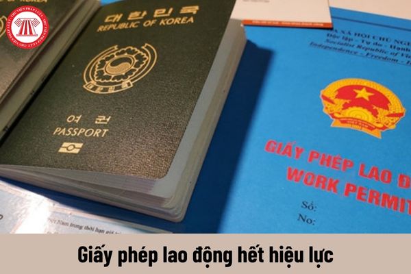 Hợp đồng lao động có bị chấm dứt khi phía nước ngoài thôi cử lao động là người nước ngoài làm việc tại Việt Nam không?