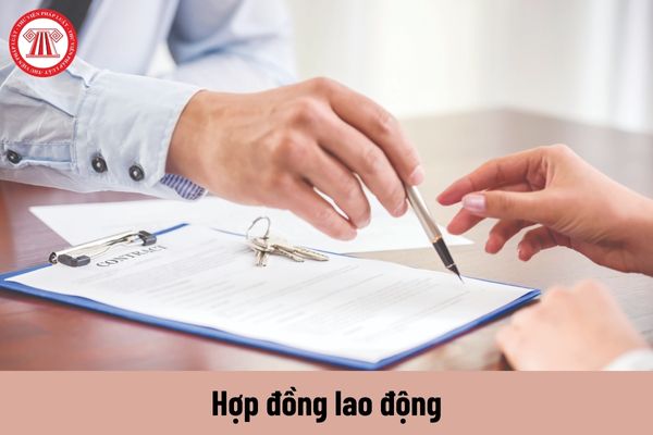 Tổ chức nước ngoài tại Việt Nam sử dụng lao động là người nước ngoài chấm dứt hoạt động thì HĐLĐ có bị chấm dứt theo không?