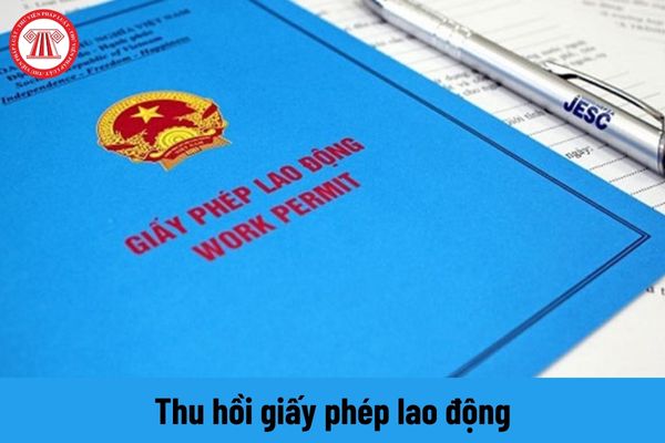 Hợp đồng lao động của người nước ngoài có bị chấm dứt khi giấy phép lao động bị thu hồi không?