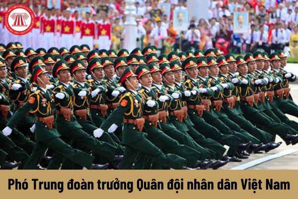 Phó Trung đoàn trưởng được nhận mức phụ cấp chức vụ lãnh đạo Quân đội nhân dân Việt Nam là bao nhiêu?