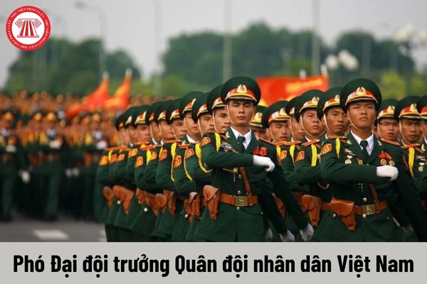 Phó Đại đội trưởng được nhận mức phụ cấp chức vụ lãnh đạo Quân đội nhân dân Việt Nam là bao nhiêu?