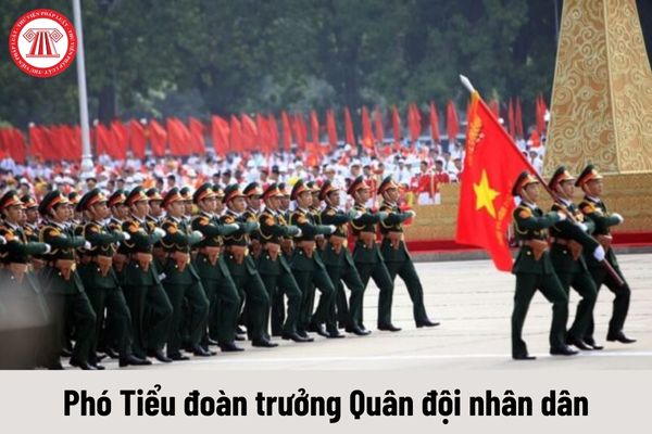 Mức phụ cấp chức vụ lãnh đạo Quân đội nhân dân Việt Nam của Phó Tiểu đoàn trưởng là bao nhiêu?