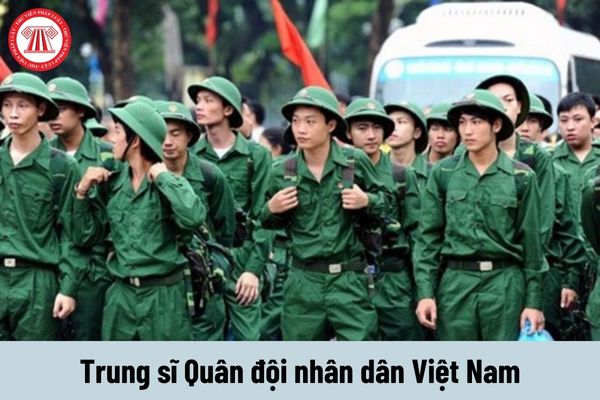 Mức phụ cấp quân hàm của Trung sĩ Quân đội nhân dân Việt Nam là bao nhiêu?