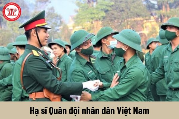 Mức phụ cấp quân hàm của Hạ sĩ Quân đội nhân dân Việt Nam là bao nhiêu?