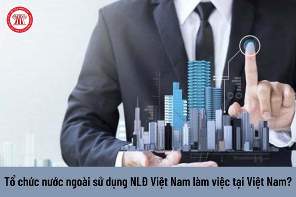 Trách nhiệm của tổ chức nước ngoài tại Việt Nam khi sử dụng người lao động Việt Nam làm việc?
