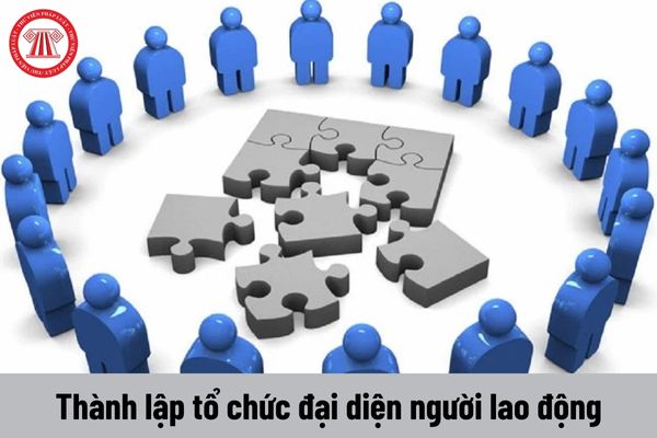 Người sử dụng lao động có được sa thải người lao động vì lý do thành lập tổ chức đại diện người lao động không?