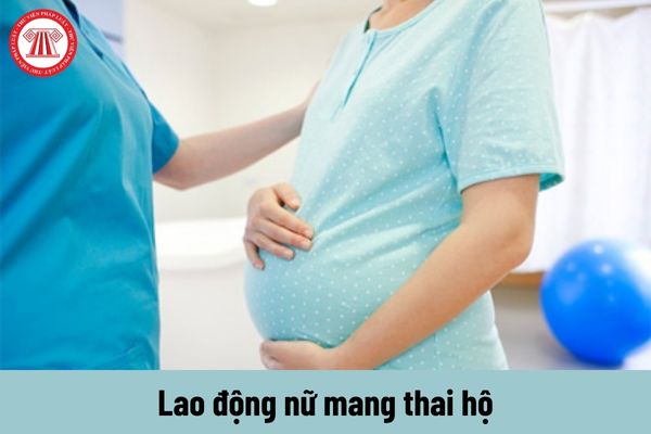 Lao động nữ mang thai hộ có được tạm hoãn hợp đồng lao động không?