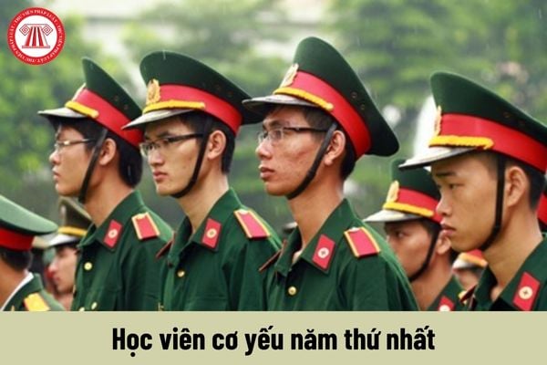 Mức phụ cấp quân hàm của học viên cơ yếu năm thứ nhất là bao nhiêu?