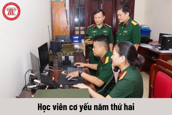 Học viên cơ yếu năm thứ hai được nhận mức phụ cấp quân hàm là bao nhiêu?