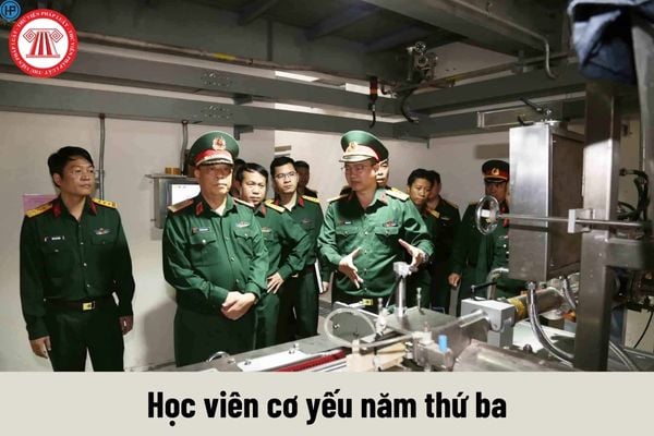 Mức phụ cấp quân hàm của học viên cơ yếu năm thứ ba được nhận hiện nay là bao nhiêu?