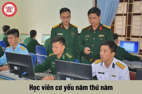 Học viên cơ yếu năm thứ năm được nhận mức phụ cấp quân hàm là bao nhiêu?