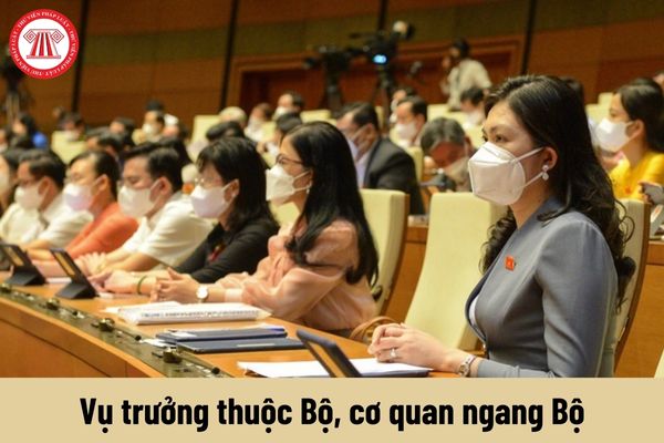 Vụ trưởng thuộc Bộ, cơ quan ngang Bộ được nhận mức phụ cấp chức vụ lãnh đạo là bao nhiêu?